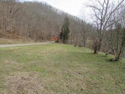 571.43 ACRES OF WV LAND & 614.55 NET MINERAL ACRES OF OGM's - image 16