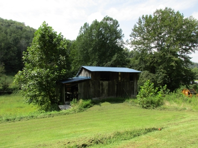 571.43 ACRES OF WV LAND & 614.55 NET MINERAL ACRES OF OGM's - image 5