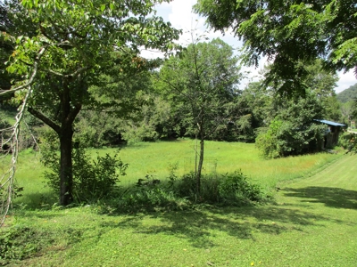 571.43 ACRES OF WV LAND & 614.55 NET MINERAL ACRES OF OGM's - image 4