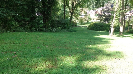 Updated, Italian Stone House For Sale In Abingdon VA - image 33