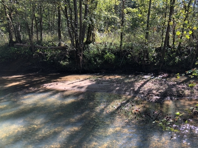 Daniel Boone National Forrest Tract - image 20