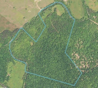 Daniel Boone National Forrest Tract - image 3