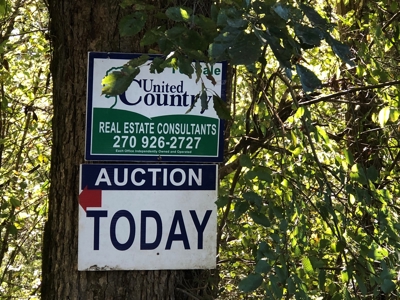 Daniel Boone National Forrest Tract - image 16