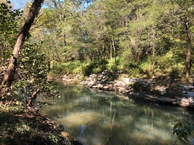 Daniel Boone National Forrest Tract - image 6