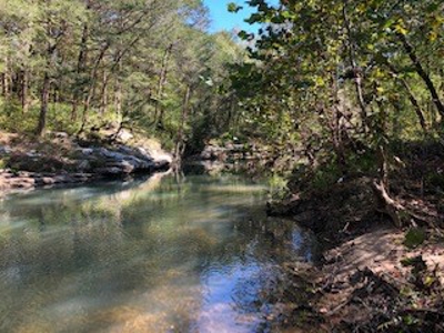 Daniel Boone National Forrest Tract - image 5