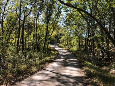 Daniel Boone National Forrest Tract - image 7