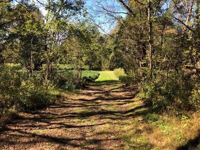 Daniel Boone National Forrest Tract - image 23