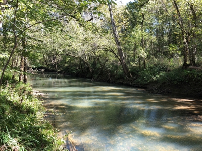 Daniel Boone National Forrest Tract - image 19