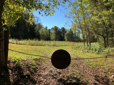 Daniel Boone National Forrest Tract - image 25