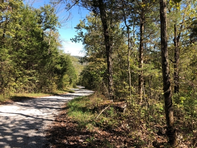 Daniel Boone National Forrest Tract - image 18