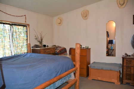 Horse Farm For Sale - image 13