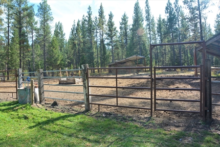 Horse Farm For Sale - image 46