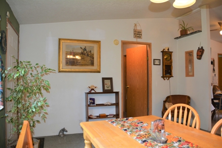 Horse Farm For Sale - image 12