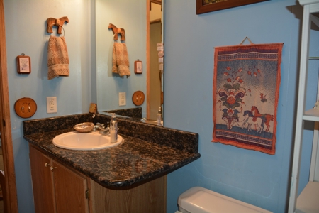 Horse Farm For Sale - image 22