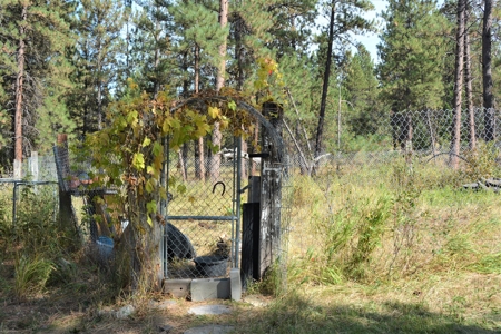 Horse Farm For Sale - image 41