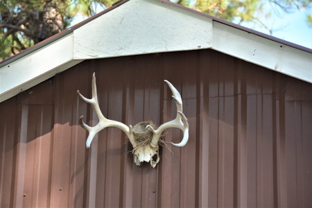 Horse Farm For Sale - image 43