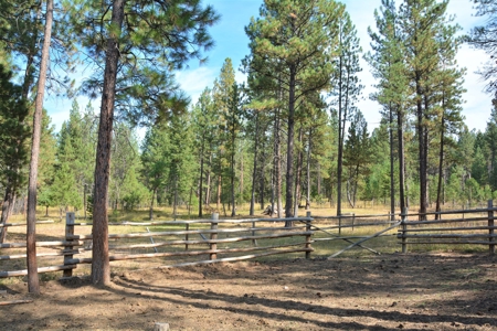 Horse Farm For Sale - image 47