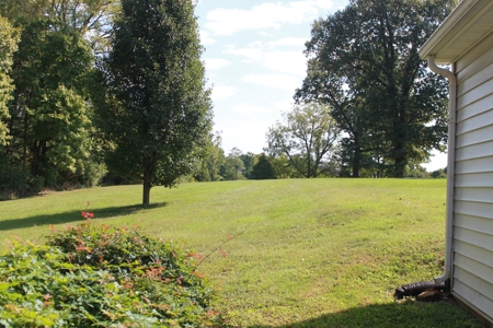 Beautiful 1.5 Story Main Street House near Downtown For Sale - image 32