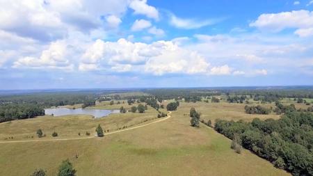 Rolling Fork River Ranch - 2196 Acres - Sevier County, AR - image 16