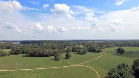 Rolling Fork River Ranch - 2196 Acres - Sevier County, AR - image 14