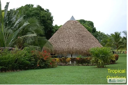 Large Estate Farm For Sale Panama - image 15