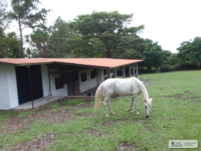 Large Estate Farm For Sale Panama - image 46