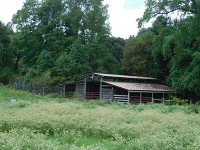 Hunting Property For Sale - Buffalo, TX - Leon County, TX - image 8