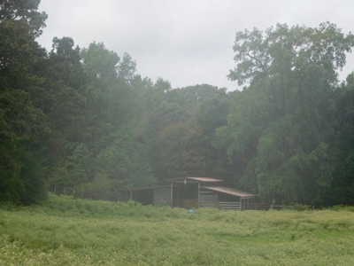 Hunting Property For Sale - Buffalo, TX - Leon County, TX - image 5