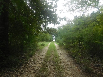 Hunting Property For Sale - Buffalo, TX - Leon County, TX - image 2