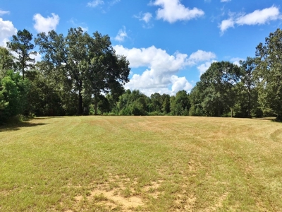 High Fence Hunting Ranch for Sale Wilkinson County MS - image 17