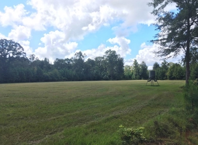 High Fence Hunting Ranch for Sale Wilkinson County MS - image 14