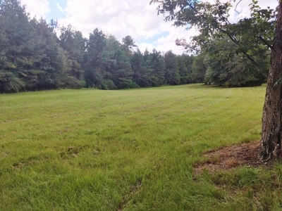 High Fence Hunting Ranch for Sale Wilkinson County MS - image 7