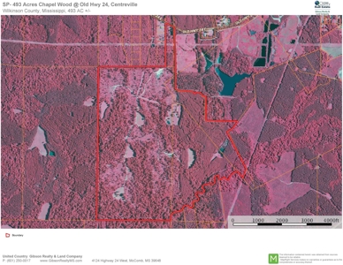 High Fence Hunting Ranch for Sale Wilkinson County MS - image 46