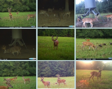High Fence Hunting Ranch for Sale Wilkinson County MS - image 45
