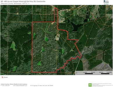 High Fence Hunting Ranch for Sale Wilkinson County MS - image 39