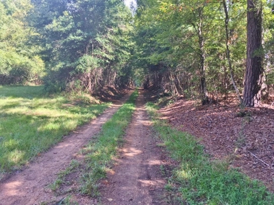 High Fence Hunting Ranch for Sale Wilkinson County MS - image 4