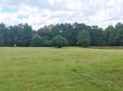 High Fence Hunting Ranch for Sale Wilkinson County MS - image 11
