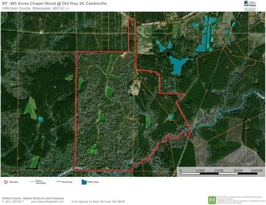 High Fence Hunting Ranch for Sale Wilkinson County MS - image 43