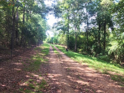 High Fence Hunting Ranch for Sale Wilkinson County MS - image 5