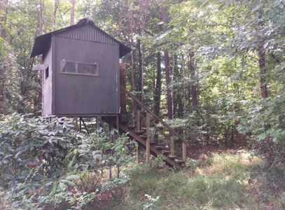High Fence Hunting Ranch for Sale Wilkinson County MS - image 34