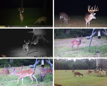 High Fence Hunting Ranch for Sale Wilkinson County MS - image 47