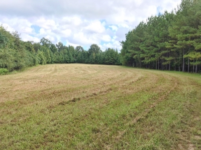High Fence Hunting Ranch for Sale Wilkinson County MS - image 27