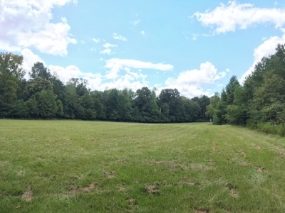 High Fence Hunting Ranch for Sale Wilkinson County MS - image 31