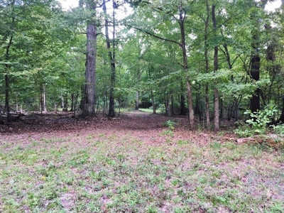 High Fence Hunting Ranch for Sale Wilkinson County MS - image 24