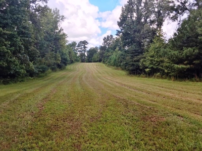 High Fence Hunting Ranch for Sale Wilkinson County MS - image 12