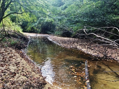 High Fence Hunting Ranch for Sale Wilkinson County MS - image 2
