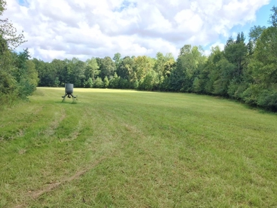 High Fence Hunting Ranch for Sale Wilkinson County MS - image 33