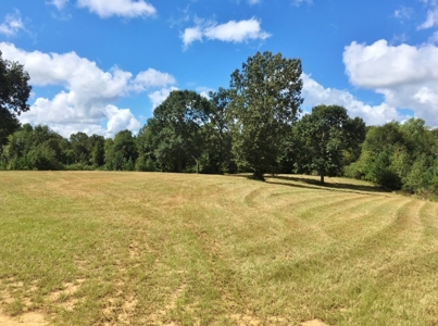 High Fence Hunting Ranch for Sale Wilkinson County MS - image 16
