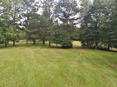 High Fence Hunting Ranch for Sale Wilkinson County MS - image 9