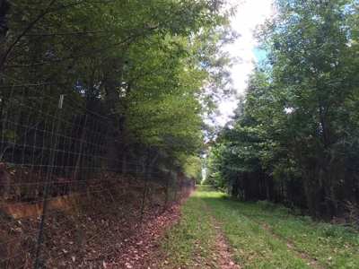 High Fence Hunting Ranch for Sale Wilkinson County MS - image 23